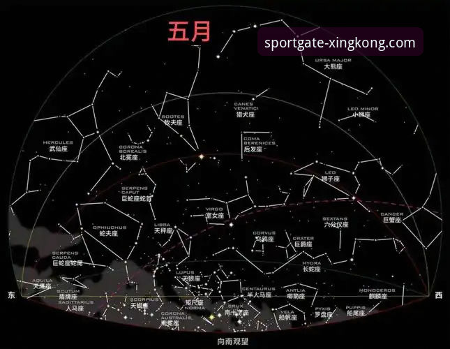 星空体育最新版本下载全面评测：数据革新与用户体验的深度探索