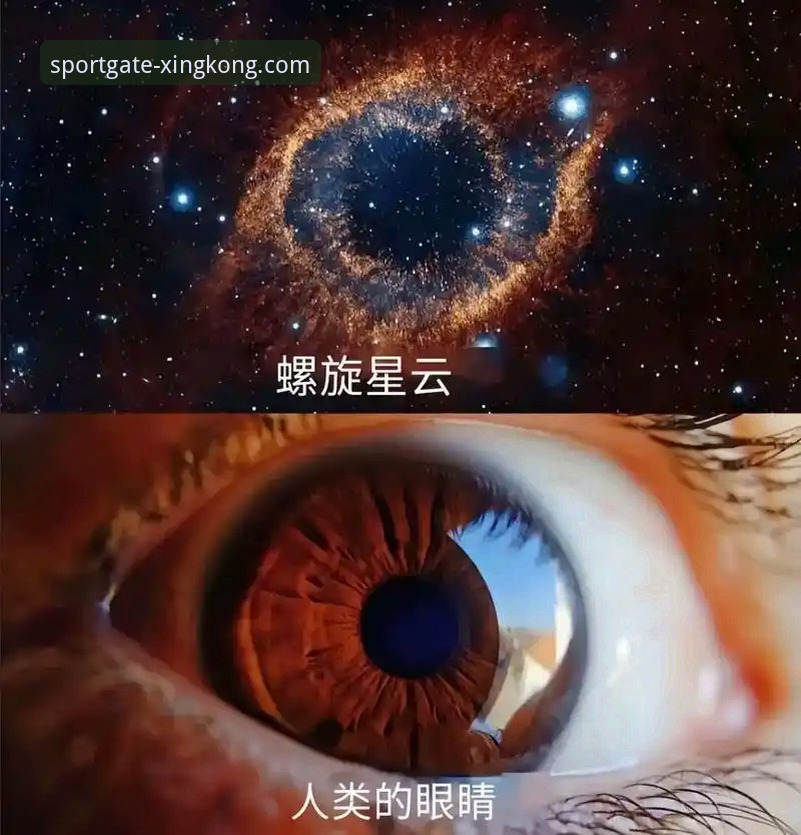 星空体育平台数据价值深度分析：从赛事洞察到用户隐私保护的全面解读